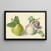 A pear, peach, plum, and walnut after Michiel van Huysum - Elisabeth Geertruida van de Kasteele — framed artwork on a wall