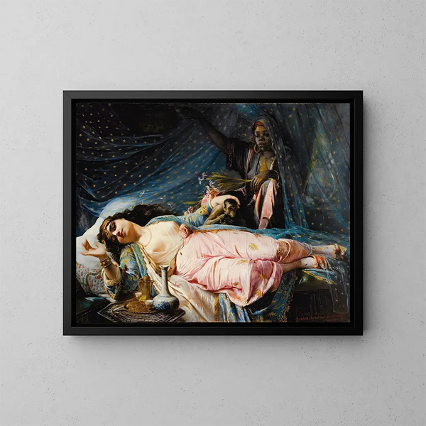 Princesse Nazili Hanum - Elisabeth Jerichau-Baumann — quadro incorniciato alla parete
