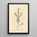 Calament acquatico - Elizabeth Blackwell — quadro incorniciato alla parete
