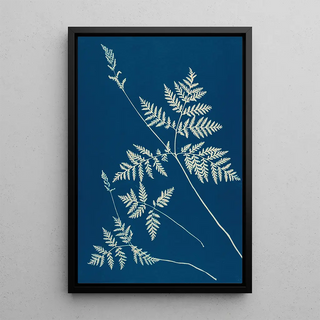 Ella J C Hurd - Ferns of Huntington Long Island Pl01.webp