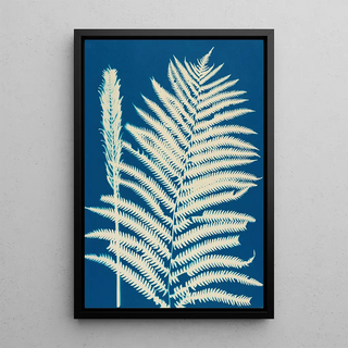 Ella J C Hurd - Ferns of Huntington Long Island Pl23.webp