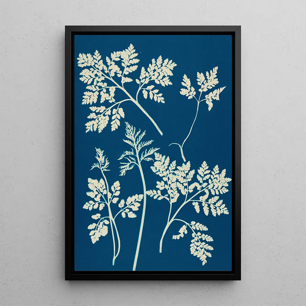 Ella J C Hurd - Ferns of Huntington Long Island Pl25.webp