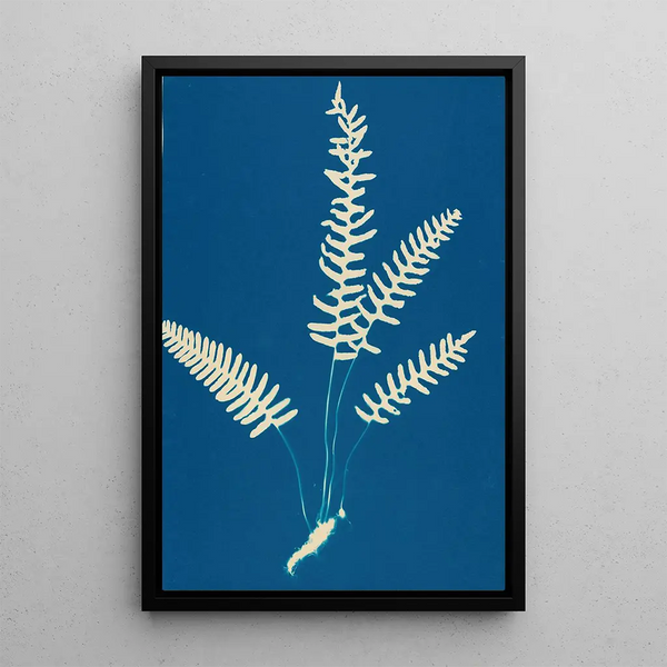 Ella J C Hurd - Ferns of Huntington Long Island Pl27.webp