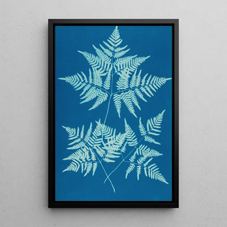 Ella J C Hurd - Ferns of Huntington Long Island Pl34.webp