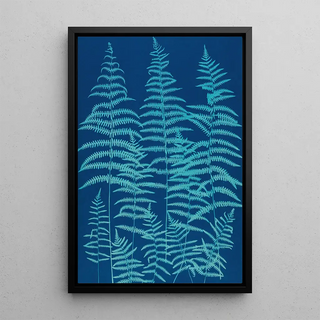 Ella J C Hurd - Ferns of Huntington Long Island Pl39.webp