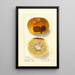 Citrus paradisi - Ellen Isham Schutt — framed artwork on a wall
