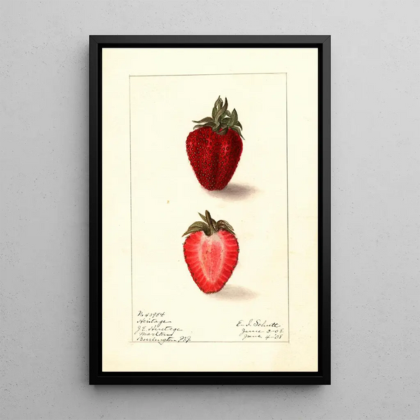 Fragaria Heritage - Ellen Isham Schutt — quadro incorniciato alla parete