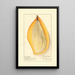 Mangifera indica Ameeri - Ellen Isham Schutt — quadro incorniciato alla parete