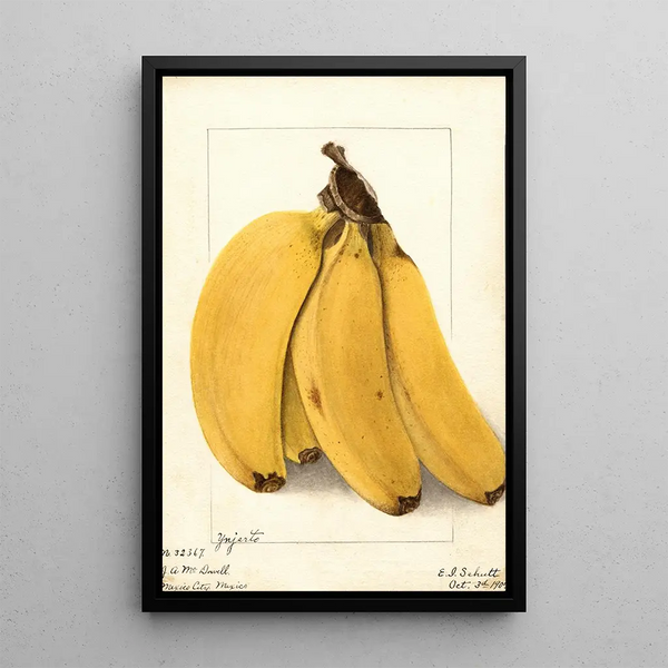 Musa Yenjerto - Ellen Isham Schutt — quadro incorniciato alla parete