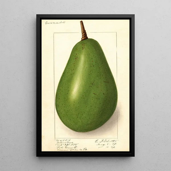 Persea Johnstone - Ellen Isham Schutt — quadro incorniciato alla parete