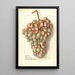 Vitis Teneron - Ellen Isham Schutt — gerahmtes Bild an der Wand