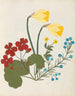 Blumenpapier-Collage-Gemälde Album pl. 05 - Ellen W. — Ansicht des Kunstwerks