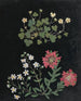 W album de fleurs en papier découpé pl. 15 - Ellen W. — Ansicht des Kunstwerks