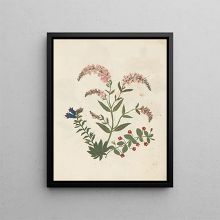 Ellen W - Album of cutpaper flowers Pl16.webp