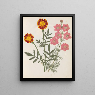 Ellen W - Album of cutpaper flowers Pl17.webp