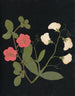 Album de fleurs en papier découpé Pl19 - Ellen W. | W — Ansicht des Kunstwerks