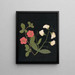 Album de fleurs en papier découpé Pl19 - Ellen W. | W — gerahmtes Bild an der Wand