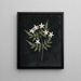 Album de fleurs en papier découpé Pl25 - Ellen W. — gerahmtes Bild an der Wand