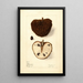 Annona squamosa No - Elsie E. Lower — quadro incorniciato alla parete
