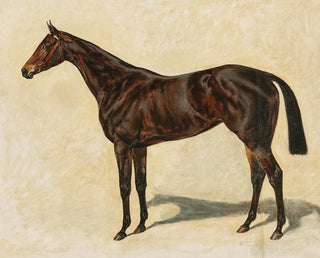 Emil Adam - A Dark Brown Thoroughbred Mare.webp