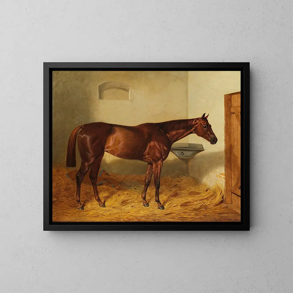 La jument Kincsem - Emil Adam — gerahmtes Bild an der Wand