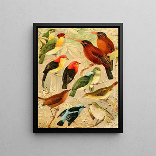 Emil August Gldi - Arirambas da matta virgem Uirpur diversos Sahy.webp