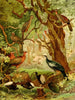 Cujubi Jacs Aracus Jacamins - Emil August Göldi — Ansicht des Kunstwerks