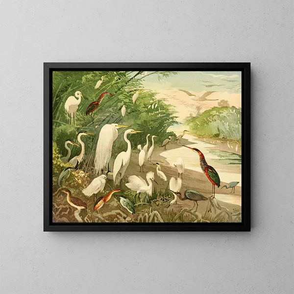 Garas - Emil August Göldi — gerahmtes Bild an der Wand