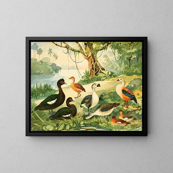 Enten und Gänse - Emil August Göldi — gerahmtes Bild an der Wand