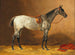 Sattel-Pferd - Emil Volkers — Ansicht des Kunstwerks