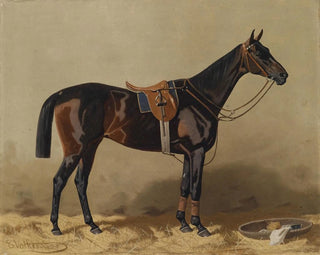 Emil Volkers - Gesatteltes Sportpferd.webp