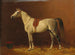 Pferd in Stall - Emil Volkers — Ansicht des Kunstwerks