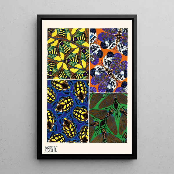 EmileAllain Sguy - Insectes Pl13.webp
