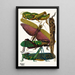 Insetti Pl18 - Émile-Allain Séguy — quadro incorniciato alla parete