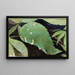 Caterpillar of the White Birch Leaf - Emma Beach Thayer — framed artwork on a wall