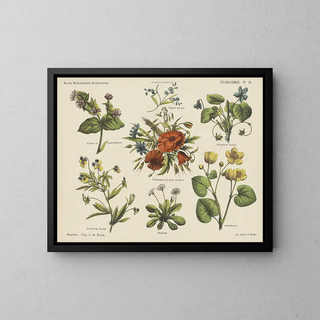 Emrik  Binger - Veldbloemen.webp