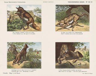 Emrik  Binger - Verscheurende dieren.webp