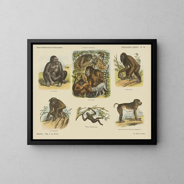 Animali a quattro mani - Emrik Binger — quadro incorniciato alla parete