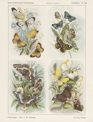 Emrik Binger - Vlinders.webp