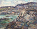 Côte rocheuse de la Nouvelle-Écosse - Ernest Lawson — Ansicht des Kunstwerks