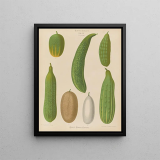 Ernst Benary - Cucumbers.webp