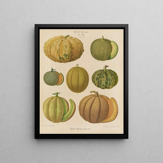 Ernst Benary - Melons.webp