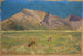 Pecore al pascolo davanti a colline spoglie - Ernst Schiess — vista dell’opera
