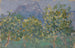 di aranci e montagna lontana - Ernst Schiess — vista dell’opera