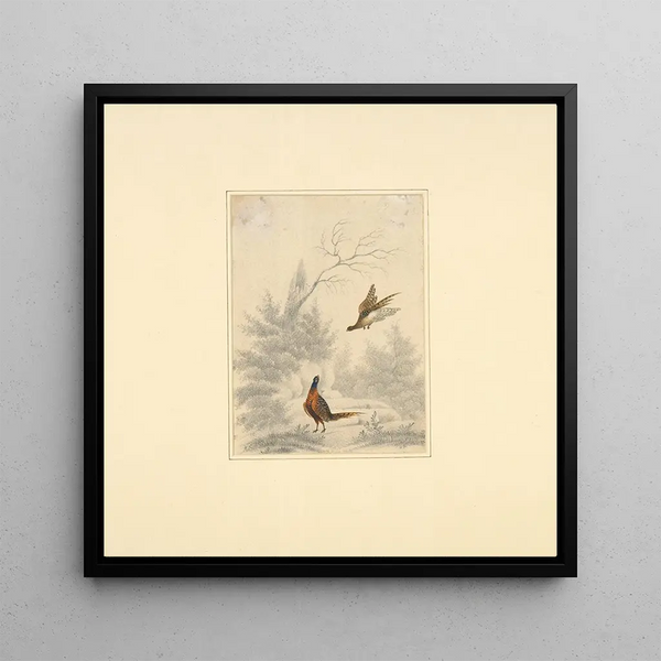 Esquisse de faisan, l'un volant et l'autre au sol - Henry Thomas Alken