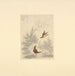 Sketch of a pheasant, one flying and the other on the ground - Henry Thomas Alken — artwork view