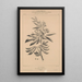 Flore d'Amérique Pl33 - Étienne Denisse — framed artwork on a wall