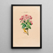 Flore d'America disegnata dal vero sul posto Pl013 - Étienne Denisse — quadro incorniciato alla parete