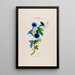 Flore d'America disegnata dal vero sul posto Pl014 - Étienne Denisse — quadro incorniciato alla parete