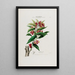 Flore d'America disegnata dal vero sul posto Pl039 - Étienne Denisse — quadro incorniciato alla parete